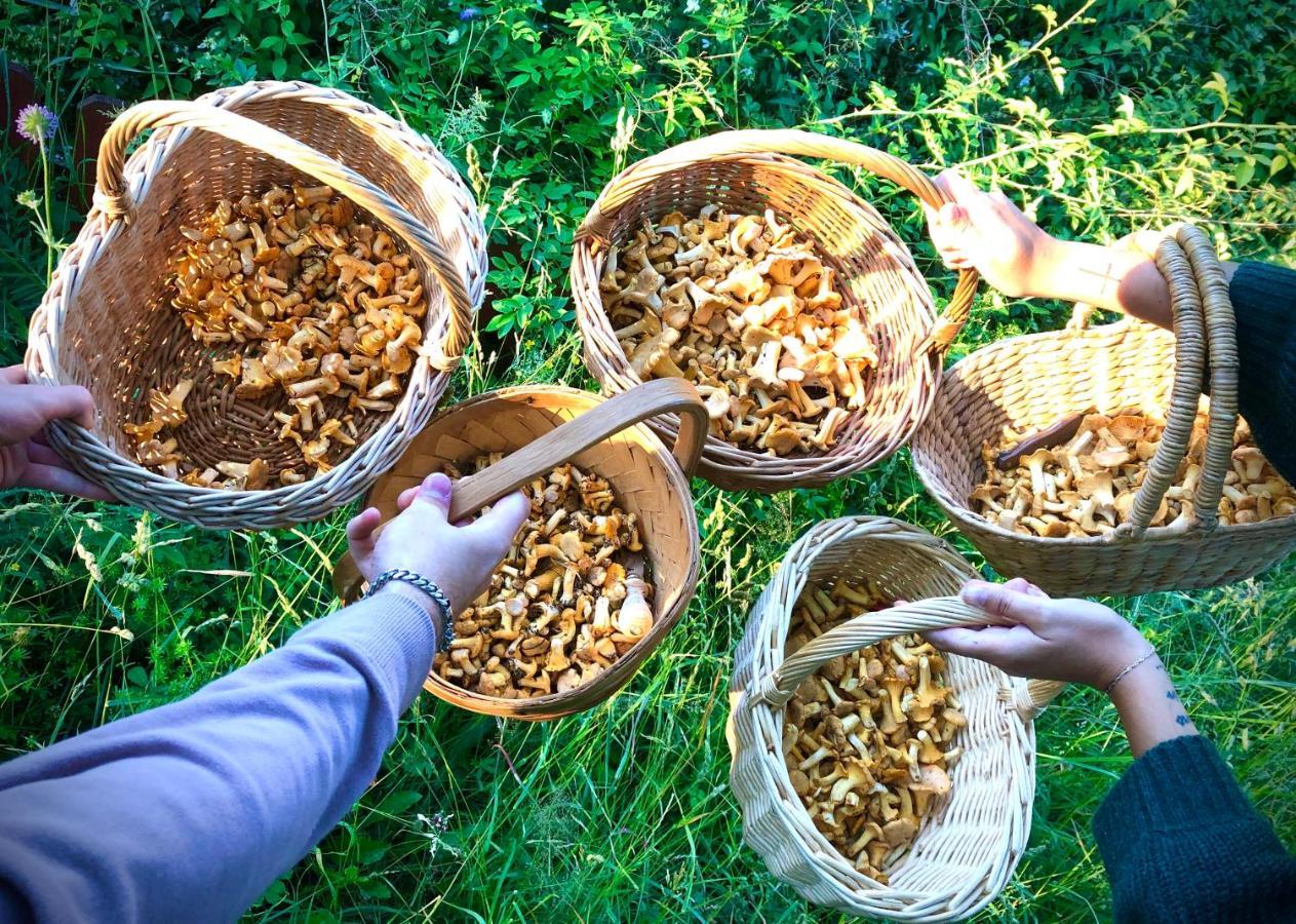 Tofvehults Boende Skaftet Ngoại thất bức ảnh